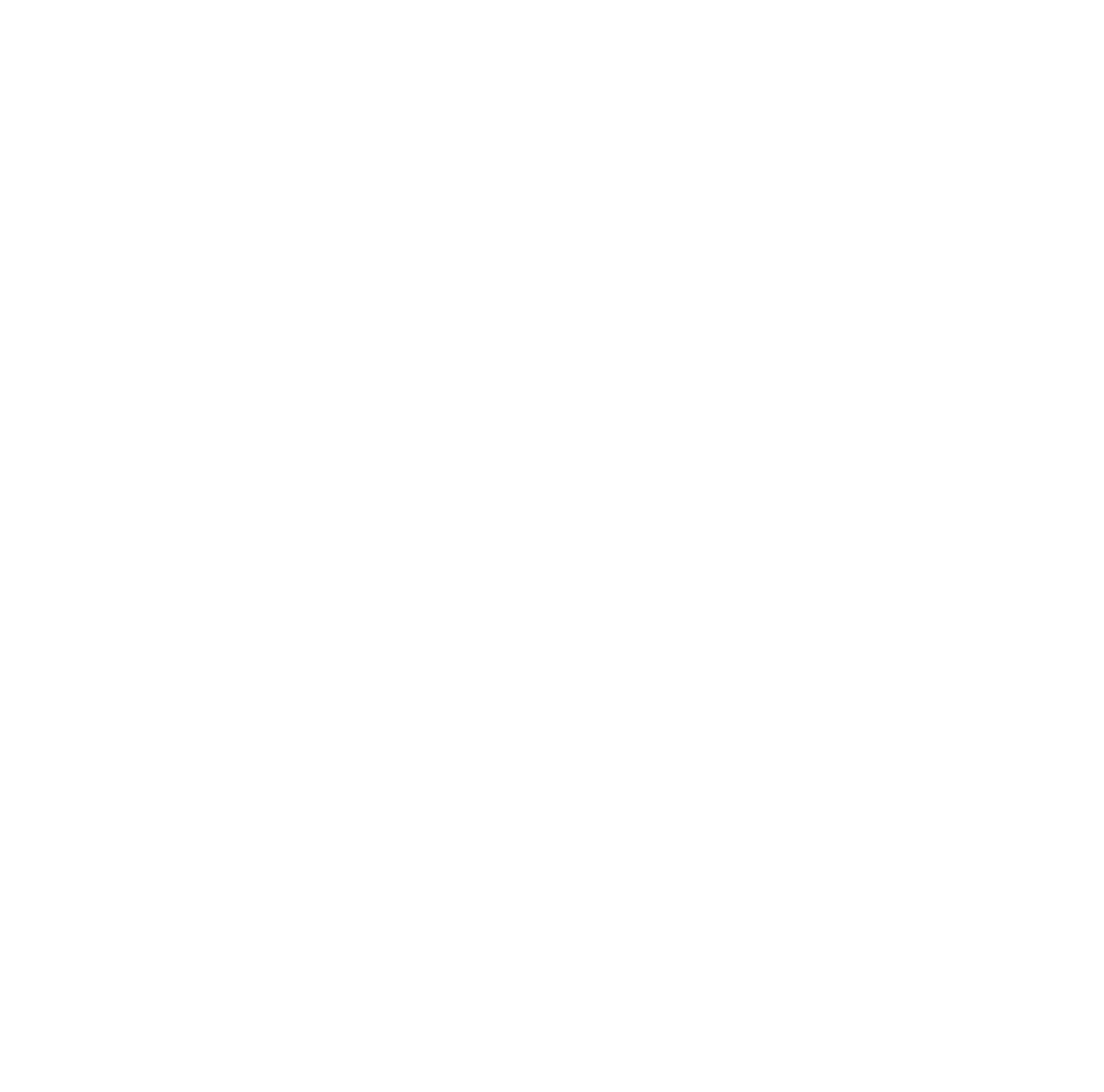 Dsv-Logo-White-Print